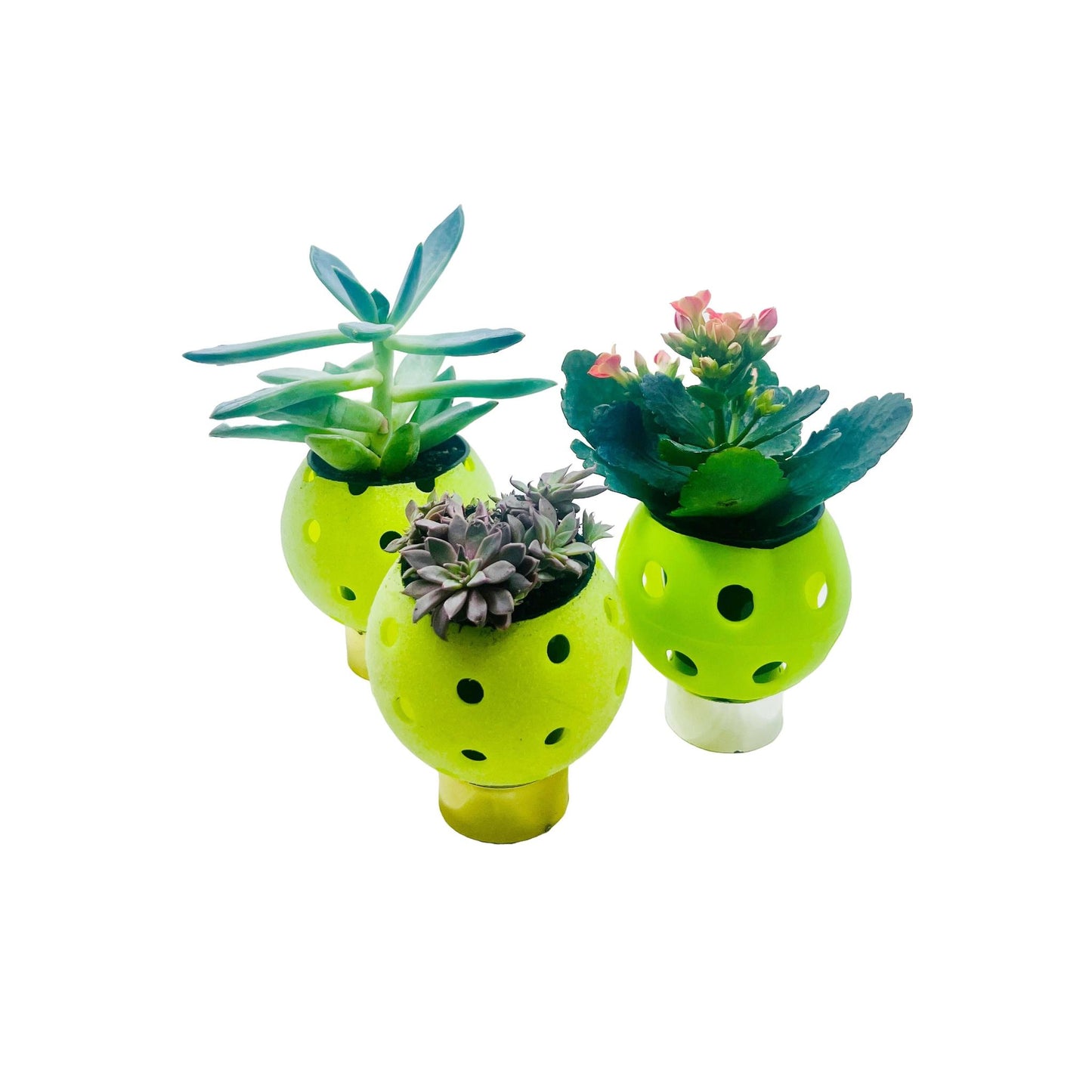 Pickleball Planters | Fun Pickleball Gifts | Perfect Pickleball Office Planter