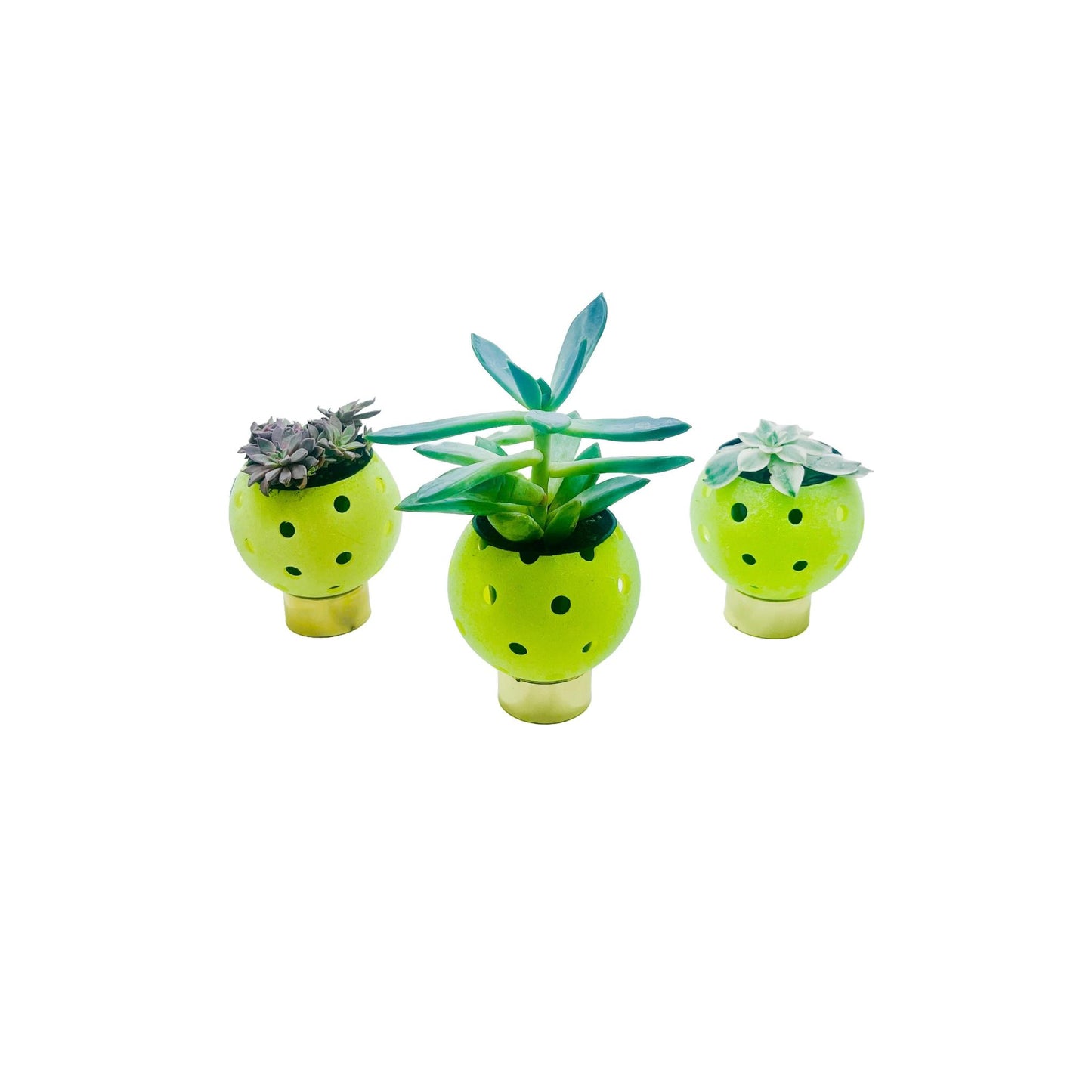 Pickleball Planters | Fun Pickleball Gifts | Perfect Pickleball Office Planter