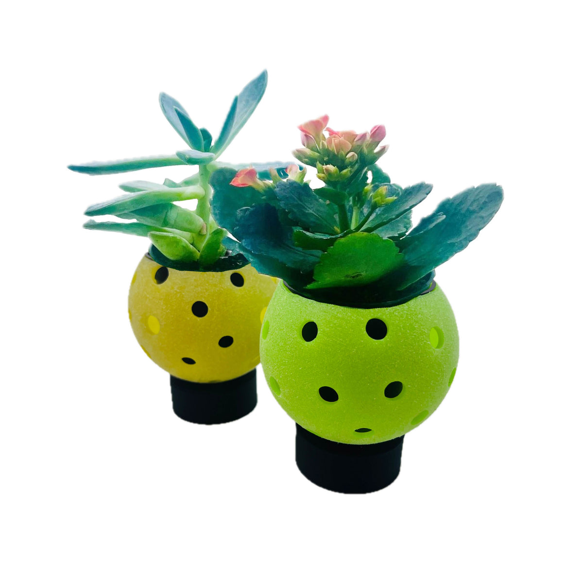 Pickleball Planters | New and improved | Fun Pickleball Gifts | Perfect Pickleball Office Planter