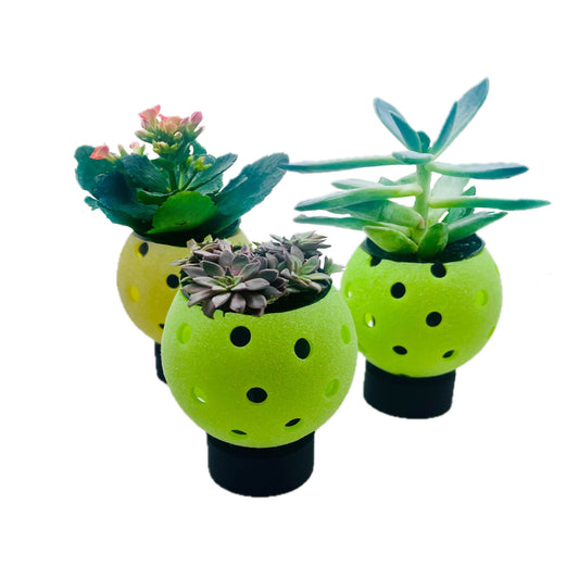 Pickleball Planters | New and improved | Fun Pickleball Gifts | Perfect Pickleball Office Planter