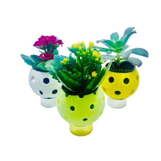 Pickleball Planters | Fun Pickleball Gifts | Perfect Pickleball Office Planter