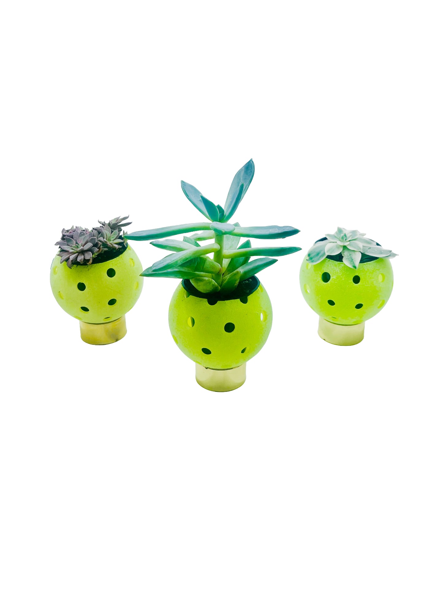 Pickleball Planters | Fun Pickleball Gifts | Perfect Pickleball Office Planter